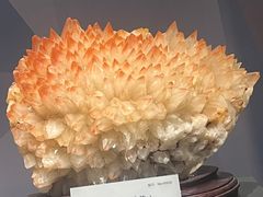 -湖南省地质博物馆