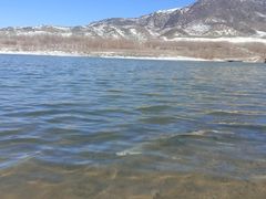 -新疆天山野生动物园