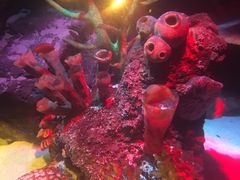 -沈阳海洋探索中心