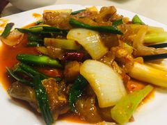 -敦煌达记酱驴肉黄面馆