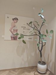 -美丽妈妈产后恢复中心(南桥旗舰店)