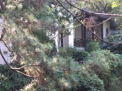 -秋霞圃