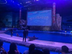 -华夏文旅海洋公园