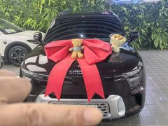 -上海浦东smart汽车全功能店(金桥店)