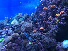 -成都浩海立方海洋公园