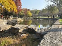 -太子山公园(园东路)