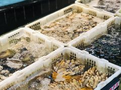 大堂-鹏城人家海鲜酒家·23年老字号(较场尾店)