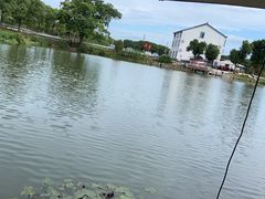 -水岸居湖景农家乐·阳澄湖大闸蟹