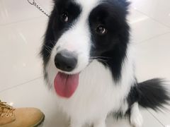 -乐宠宠物店(世纪金源店)