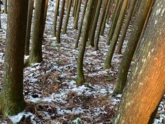 -山王坪喀斯特国家生态公园