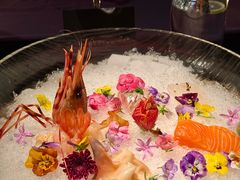 -地球美食剧场