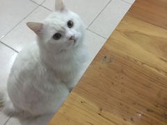 -百威KTV(恒福路店)