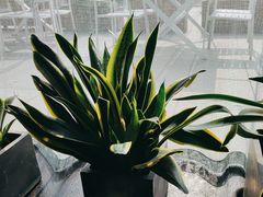 -时间仓(月湖公园店)