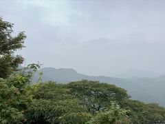 -莫干山风景区