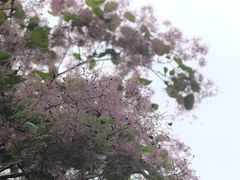 -周口店北京人遗址公园