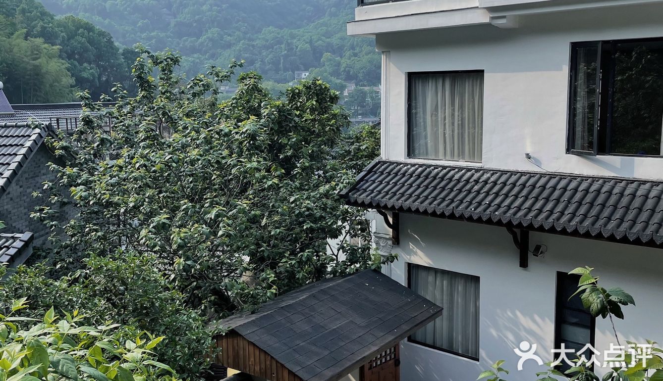 环境绝绝子[加油]满觉陇景区里的小院子咖啡店
