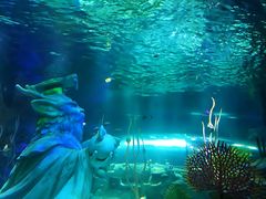 -沈阳海洋探索中心