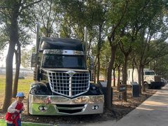 -海上花岛玫瑰园采摘