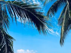 -三亚西岛海洋文化旅游区