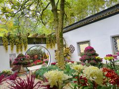 -杭州植物园