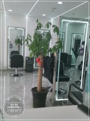 -Coo Hair salon