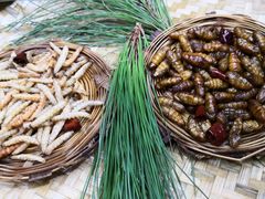 -昆虫窝子·特色云南菜(拓东路总店)