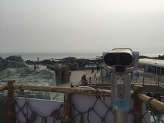 -海合安青岛极地海洋公园