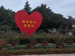 -南山植物园
