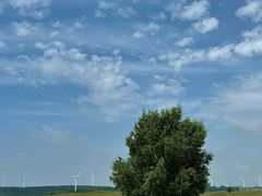 -塞罕坝国家级自然保护区