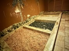 -水立方国际汤泉(六一中路店)