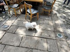 -绿地·中山里