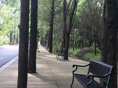 -同里国家湿地公园