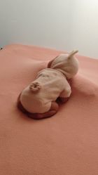 -玛瑞莎孕婴童摄影到家拍