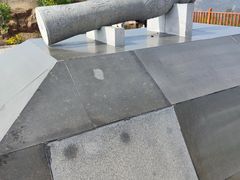 -五龙城郊森林公园