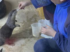 -太平洋海底世界