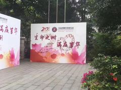 -紫薇实验幼儿园(桂平路校区)