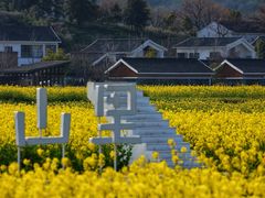 -南北湖风景区