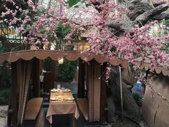 -世外桃源农庄·德清土菜(兴康南路店)