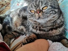 -沈阳海洋探索中心