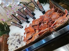 -吉布鲁牛排海鲜自助(成都大悦城店)