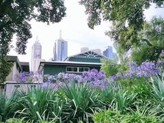 -墨尔本皇家植物园
