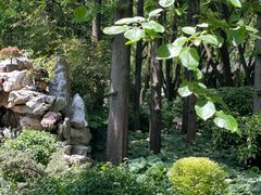 -上海醉白池公园