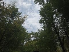 -虞山风景区