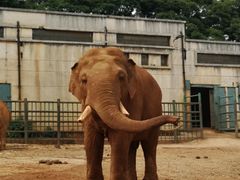-昆明动物园