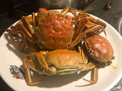 活河蟹-欢乐牧场海鲜烤肉自助(牡丹园店)