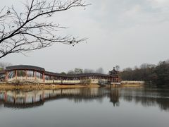 -岳麓山风景名胜区