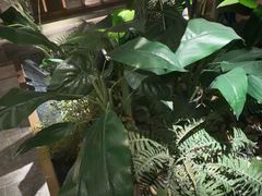 -浅深(北京北四环精品店)