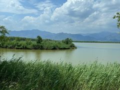 -野鸭湖国家湿地公园