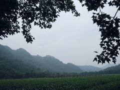 -中国茶叶博物馆(双峰馆区)