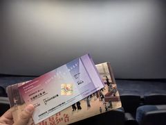 -深影国际影城(学院南路店CGS中国巨幕店)